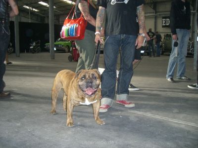 Klicken für Bild in voller Größe